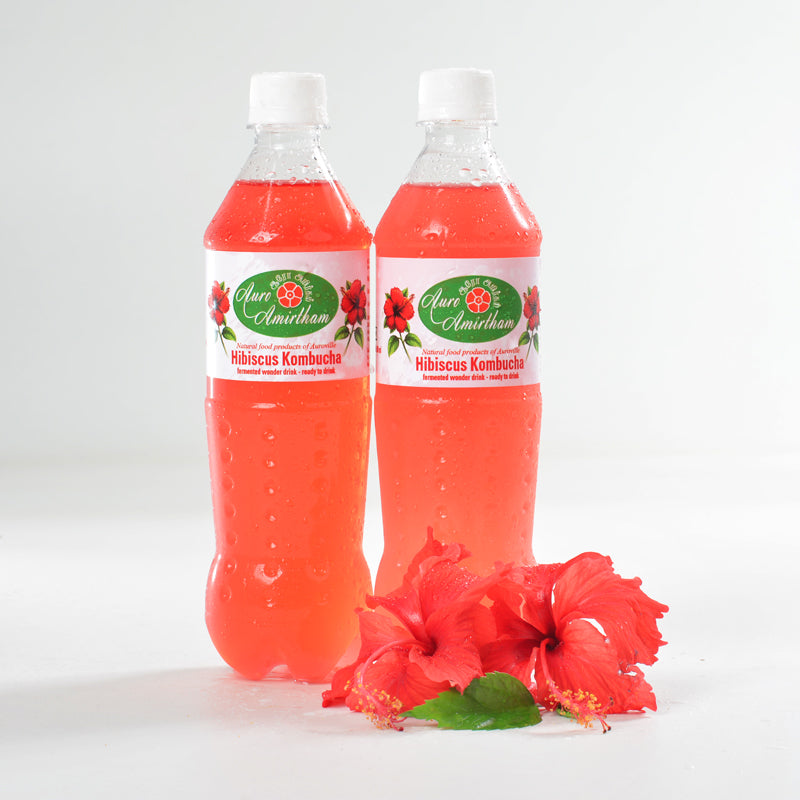 Hibiscus Kombucha