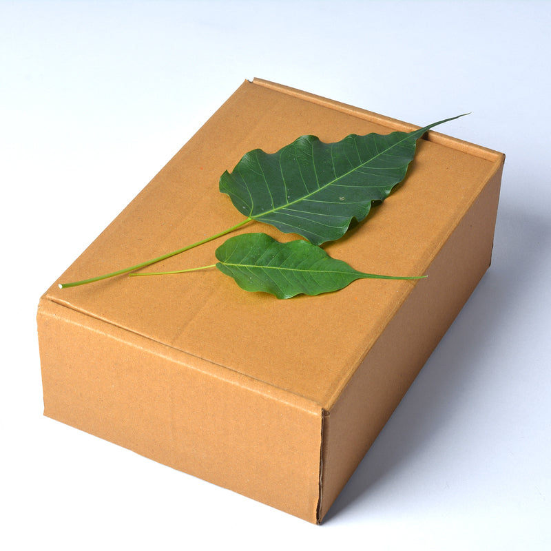 Handmade Coconut Shell Gift Hamper – With Candle