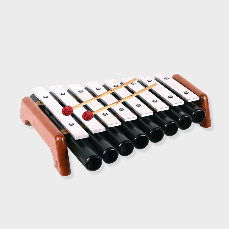 Svara Tarang 1'' 8 Bar Resonators