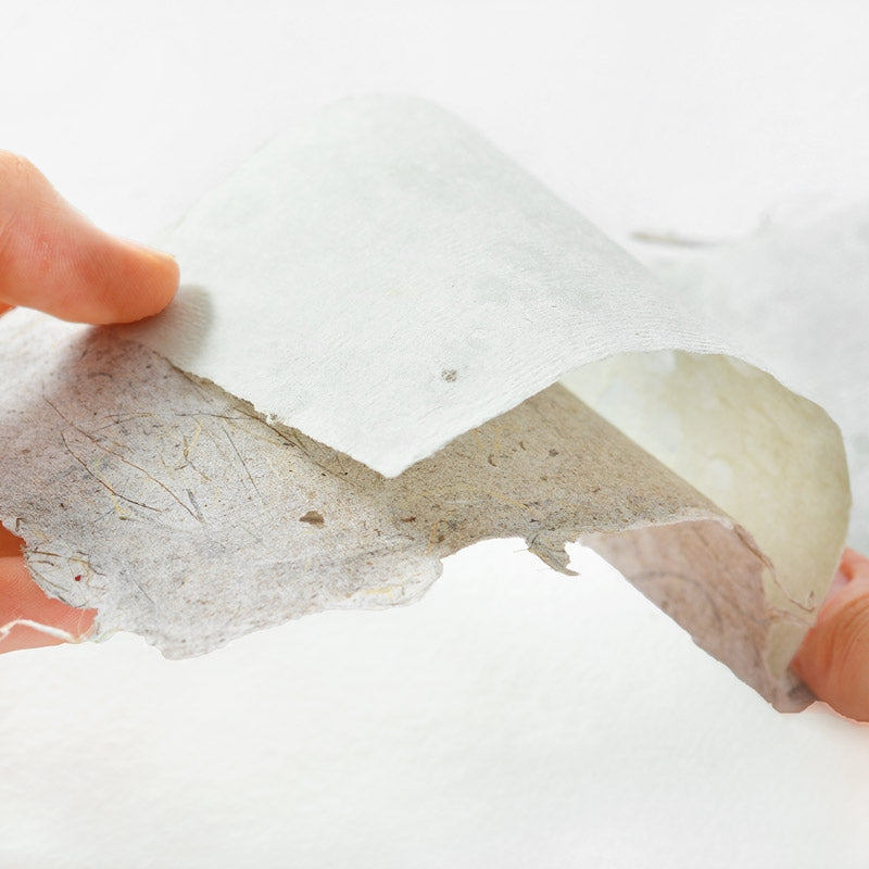 Card and Envelope - Banana