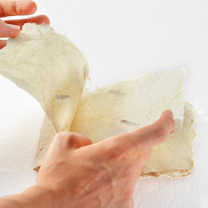 Deckle Edge Small Banana Note Book