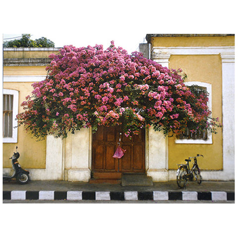 Postcards 16:9 (Set of 10)