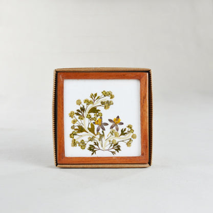 Classic Grey Tea Coasters- DH03F01AA4