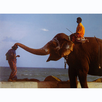 Subtleties (Set of 7)