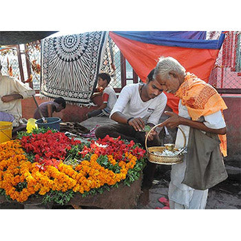 Divine Essence (Set of 10)