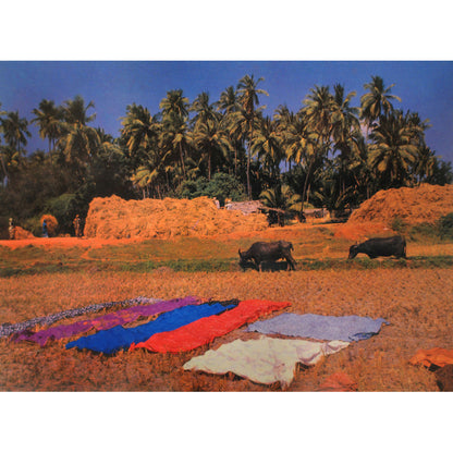 Postcards 16:9 (Set of 10)