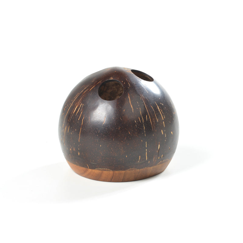Coconutshell Spoon and Brush Holder