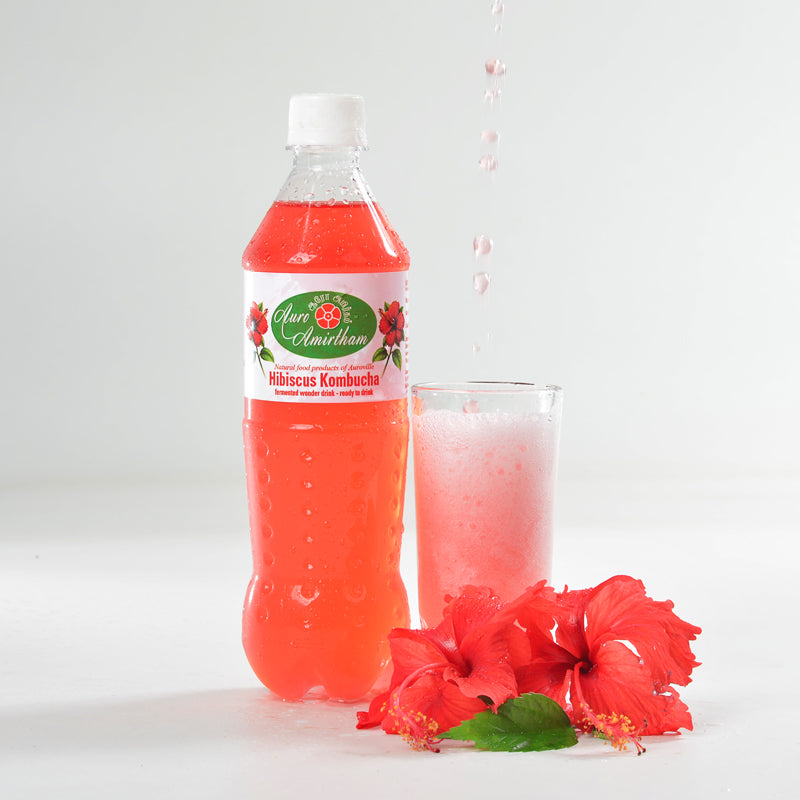 Hibiscus Kombucha