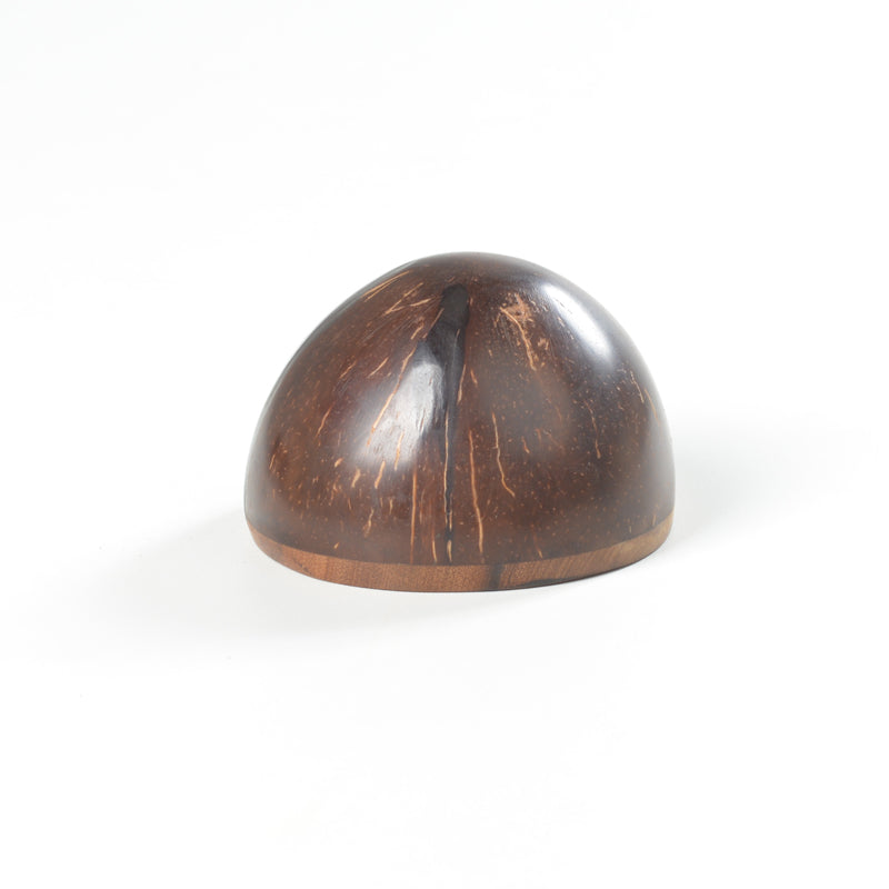 Coconutshell shaker