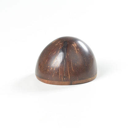Coconutshell shaker