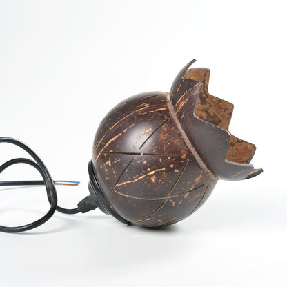 Coconutshell Hanging Lamp