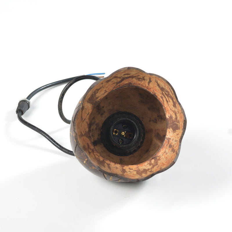 Coconutshell Hanging Lamp