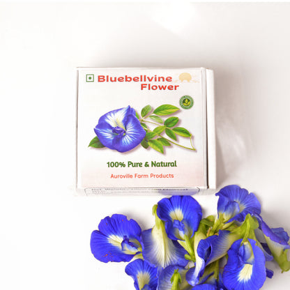 Dehydrated Bluebelvine