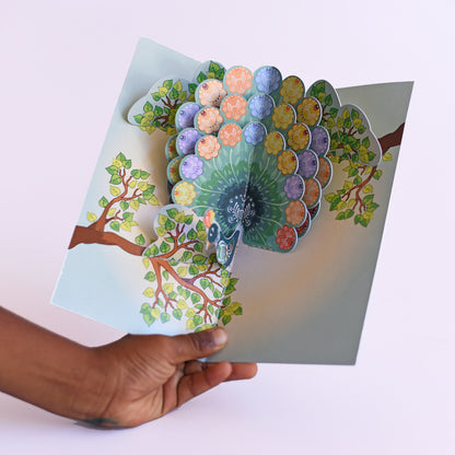 3D Modeling Pop-up Toys : Peacock