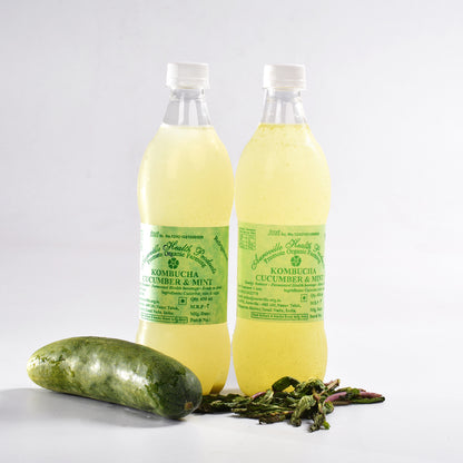 Kombucha - Health Drink 650 ml