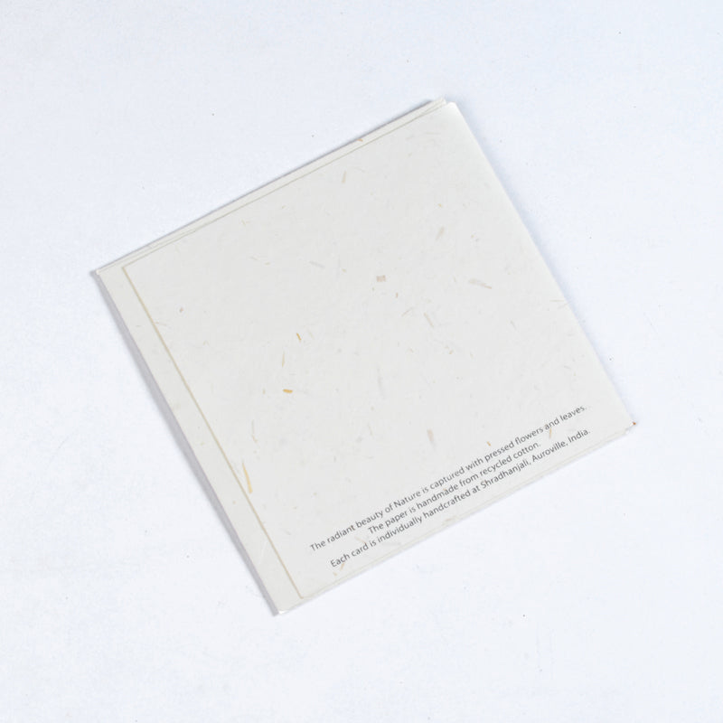 Amore Card White Greeting Card