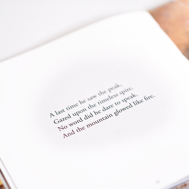 The Mountain Glowed Like Fire by Balvinder Banga and Marie Demont