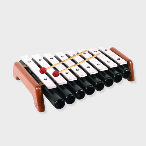 Svara Tarang 1'' 8 Bar Resonators