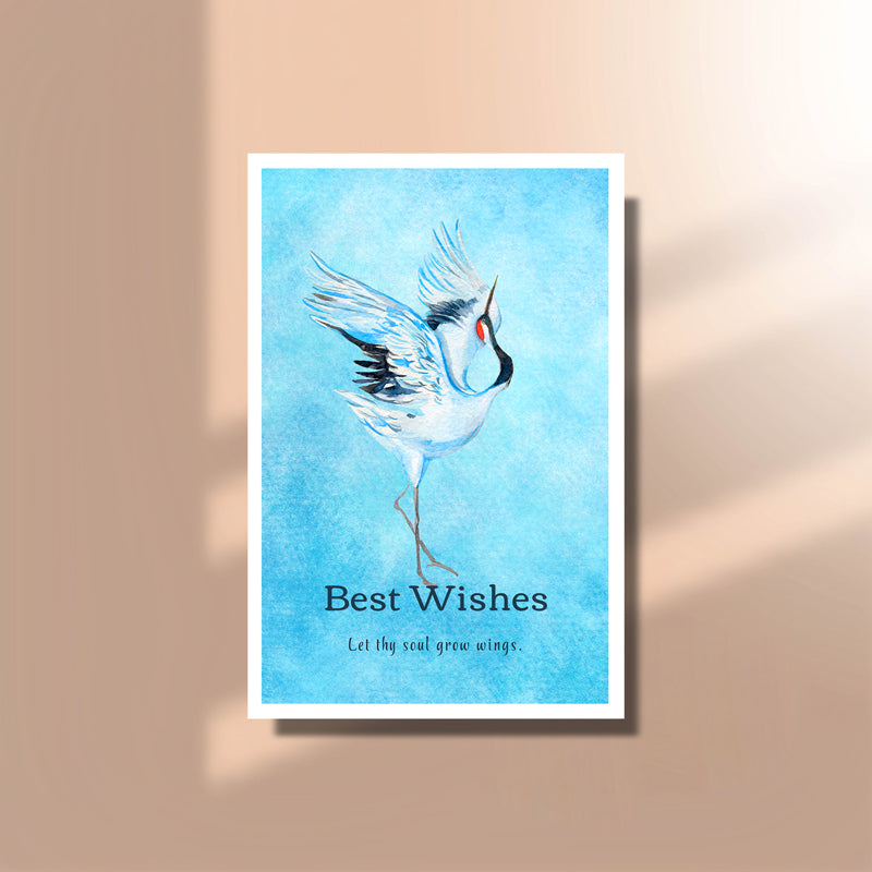 Rectangular Postcards