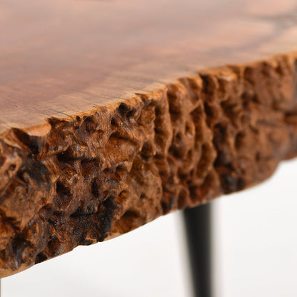 Bi Fold (Conversation Series)-Short