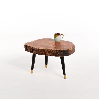 Bi Fold (Conversation Series)-Short