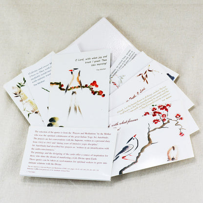 Thy Infinite Compassion (Set of 8 Postcards)