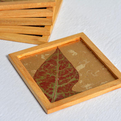 Glass Coaster - Gold Colored Papaya