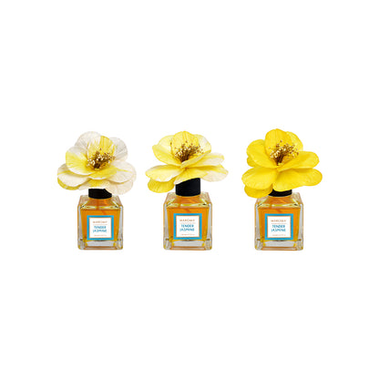 Blush Reed Diffusor - Tender Jasmine