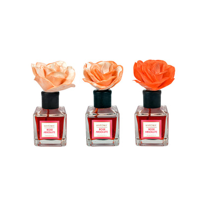 Blush Reed Diffusor - Rose Absolute