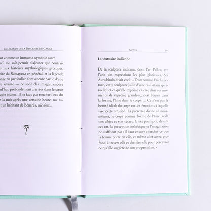 La Legende de la descente du Gange