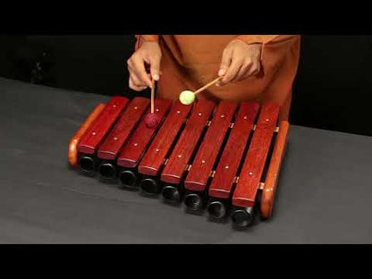 Kastha Tarang 1 1/2" 8 Bar Res