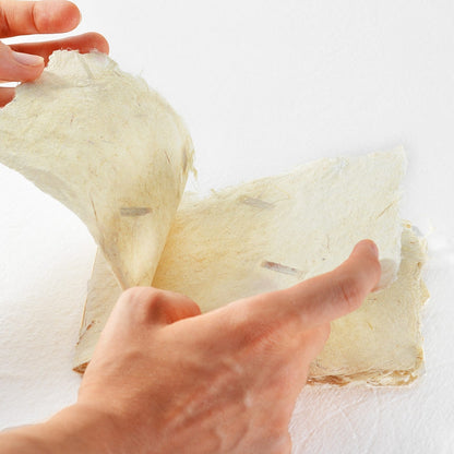 Deckle Edge Small Banana Note Book