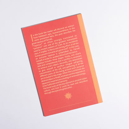 The Great Tapasya of Parvati