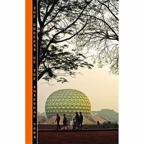 The Process of the Integral Yoga by Paulette Hadnagy