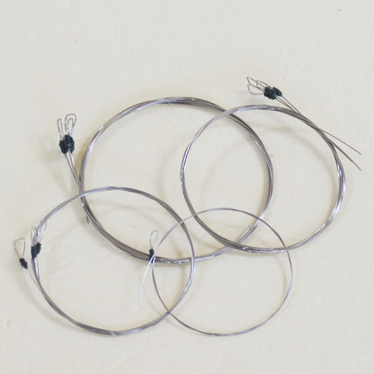 Swarnaveena String Set